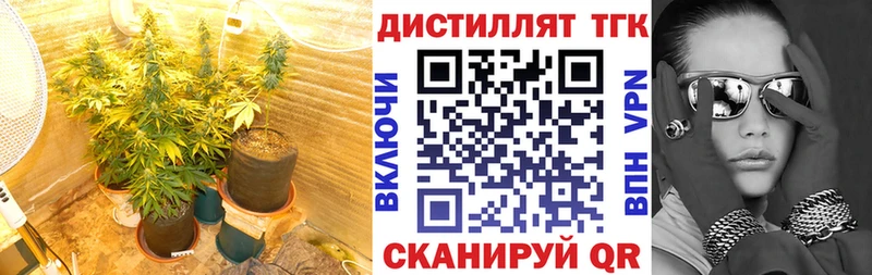 Дистиллят ТГК THC oil  Купить закладки  Старица 