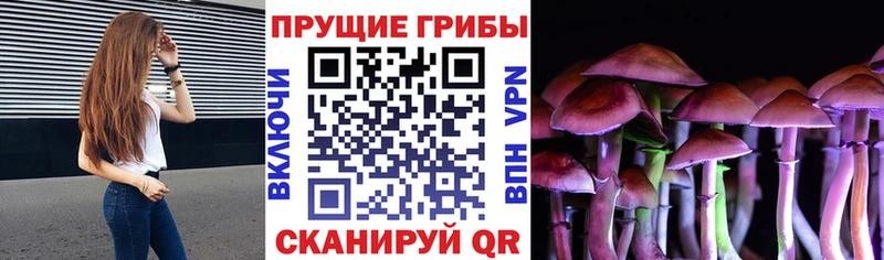 Псилоцибиновые грибы прущие грибы  Купить  Старица 